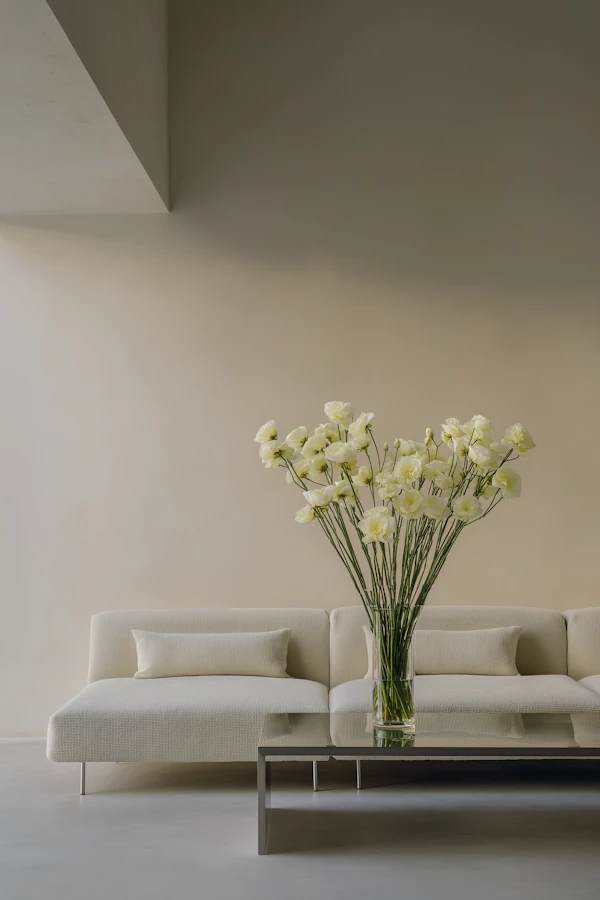 Modern Minimalist Living Room