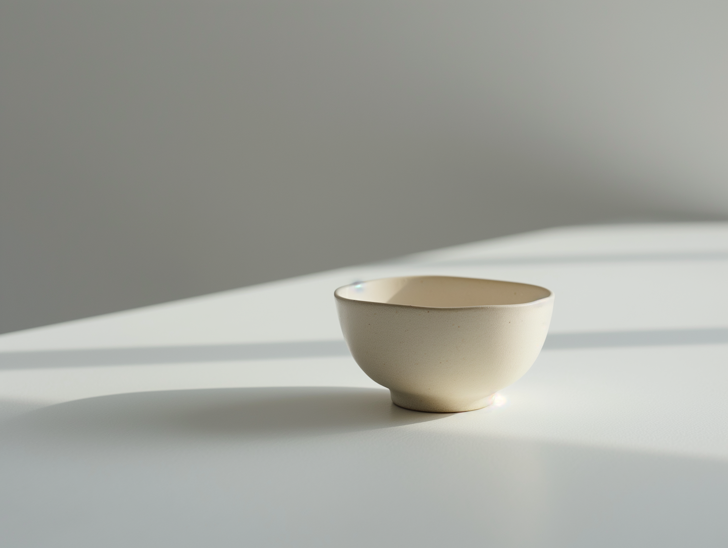 Minimalist Ceramic Bowl