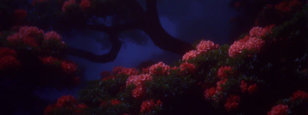 Nighttime Floral Scene