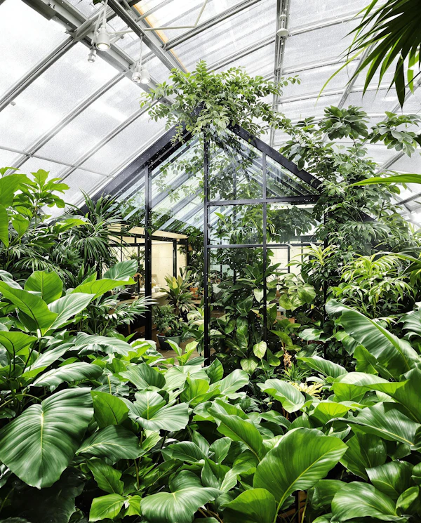 Lush Greenhouse Scene