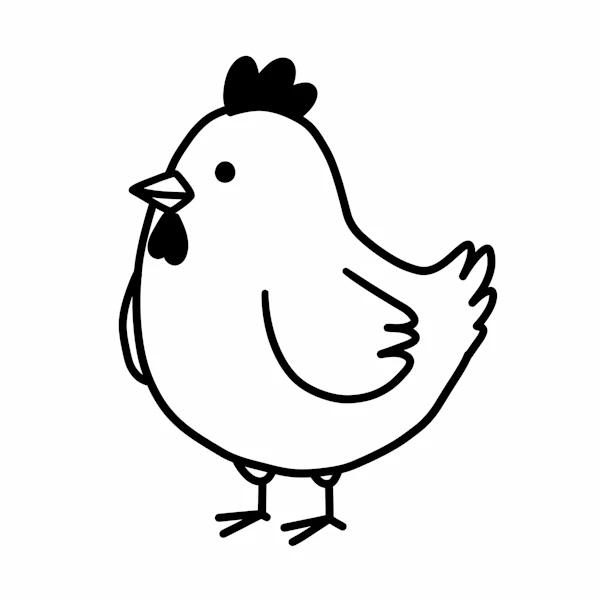 Cartoon Chicken Drawing