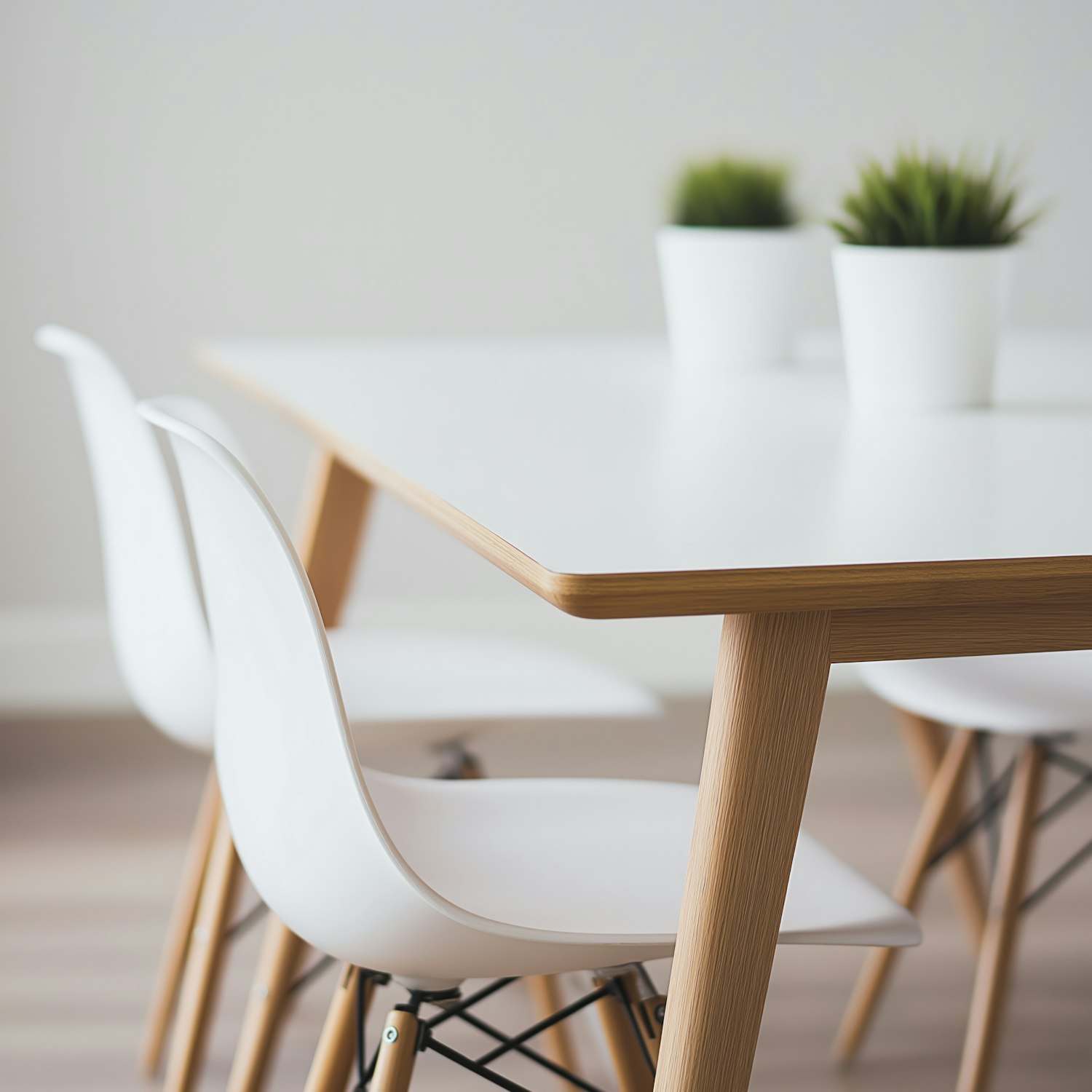 Modern Minimalist Dining Area