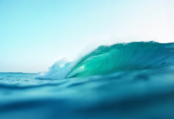 Ocean Wave in Motion