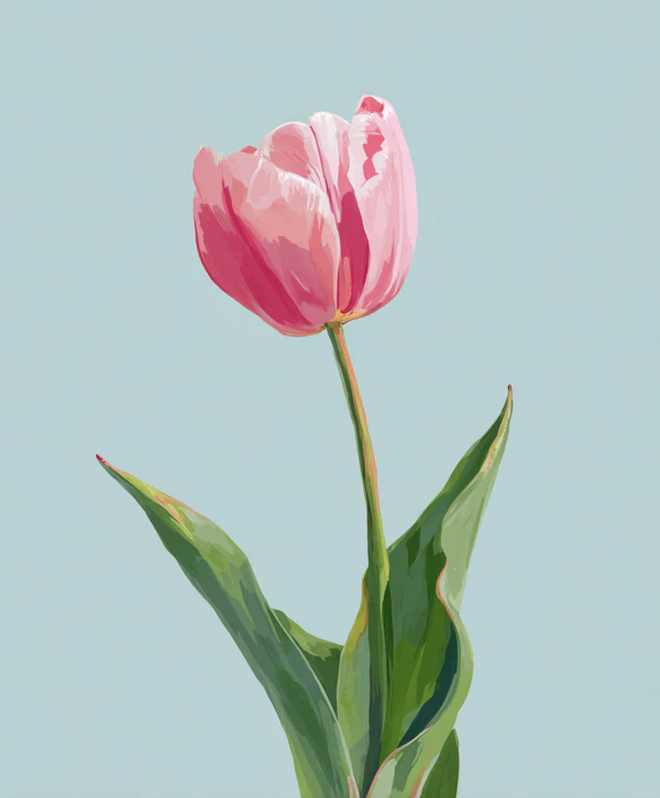Vibrant Pink Tulip Art