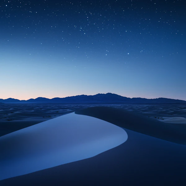 Starry Desert Night