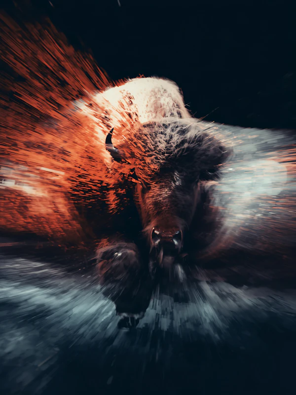 Charging Bison Art