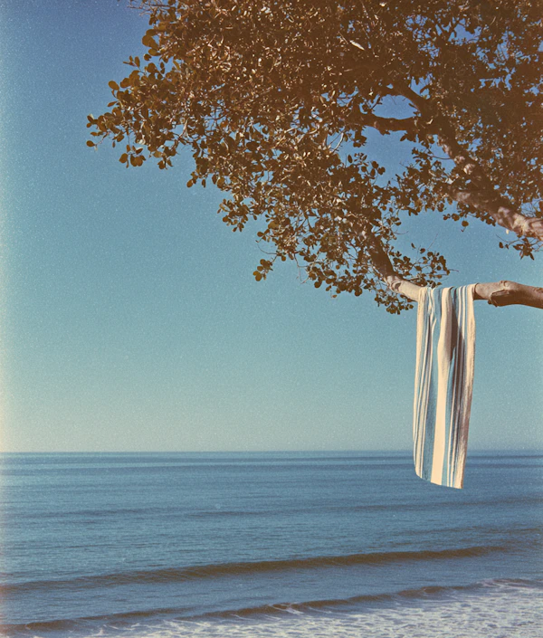 Serene Beach Scene