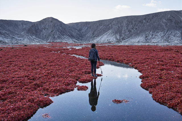 Solitary Reflection in Red Landscape