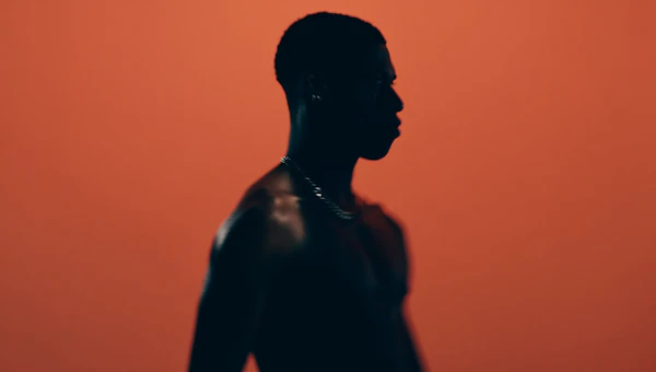 Silhouette on Orange