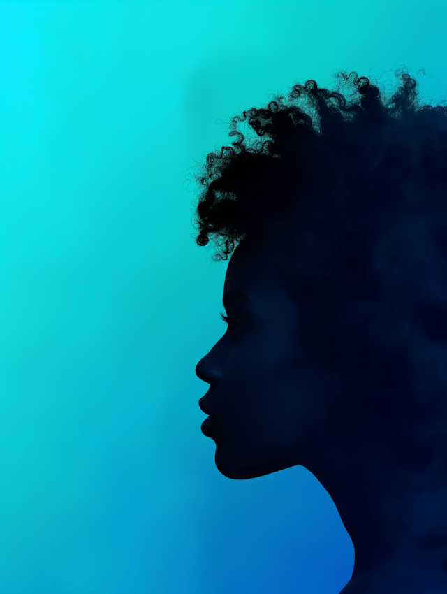 Silhouette of a Person Against a Gradient Background