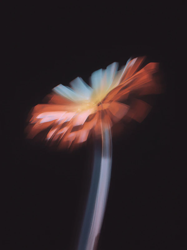 Abstract Flower Art