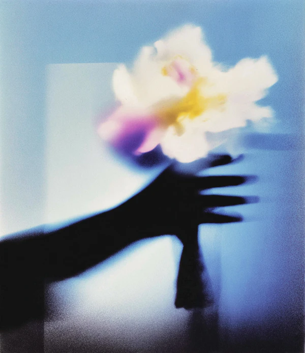 Ethereal Flower Glow
