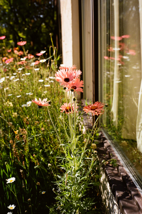 Sunlit Garden Scene