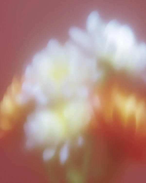 Dreamy Floral Abstract