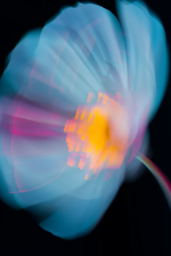 Abstract Flower Close-Up
