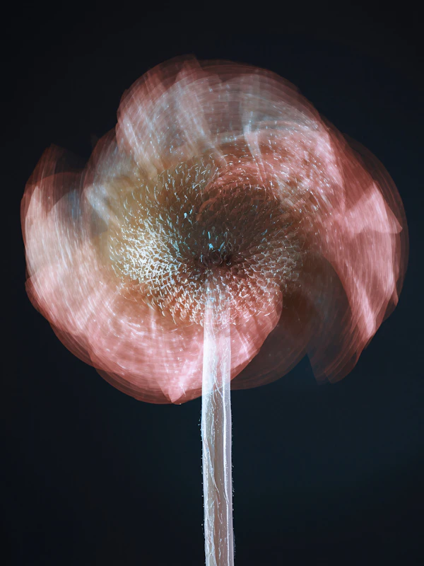 Ethereal Flower Motion