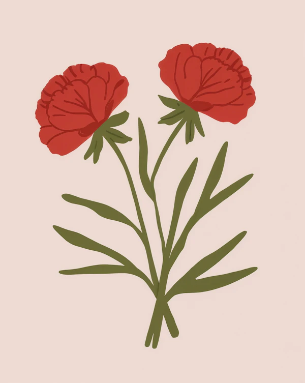 Minimalist Carnation Flowers