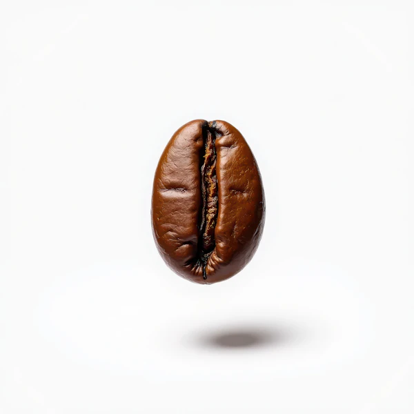 Single Coffee Bean on White Background