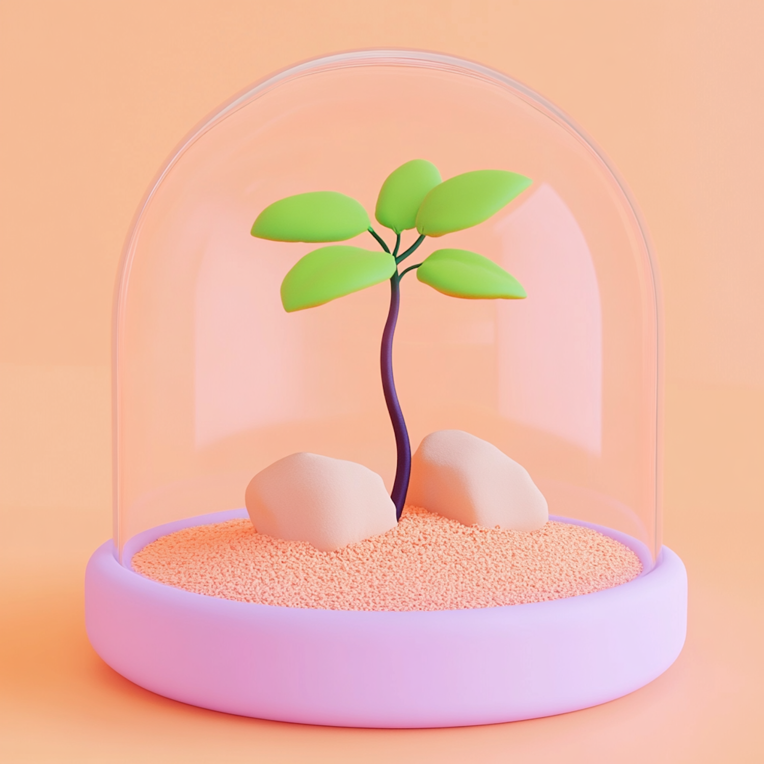 Zen-like Miniature Tree Display