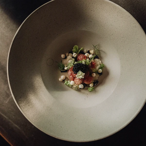 Gourmet Dish Artistry