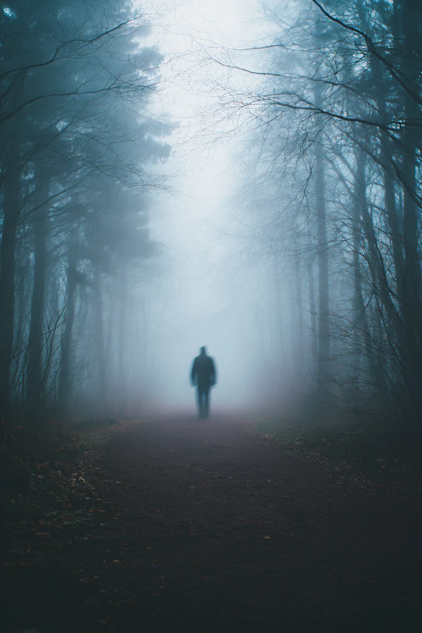 Foggy Forest Silhouette