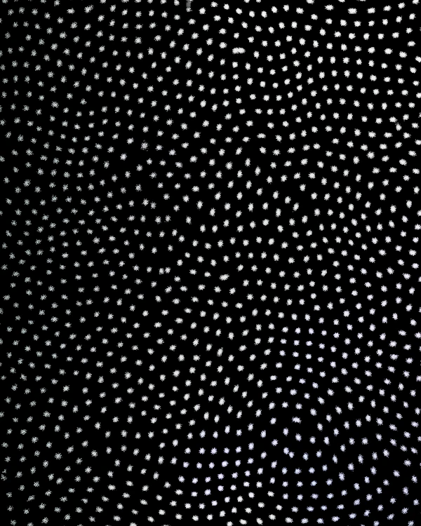 Cosmic Starry Pattern