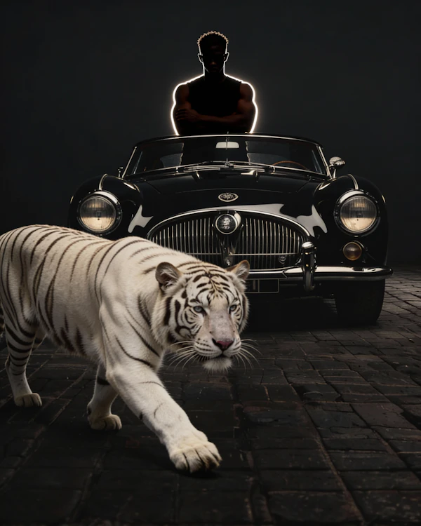 White Tiger and Car