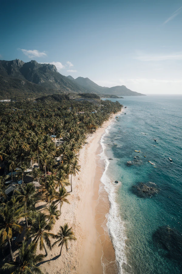 Tropical Coastline View