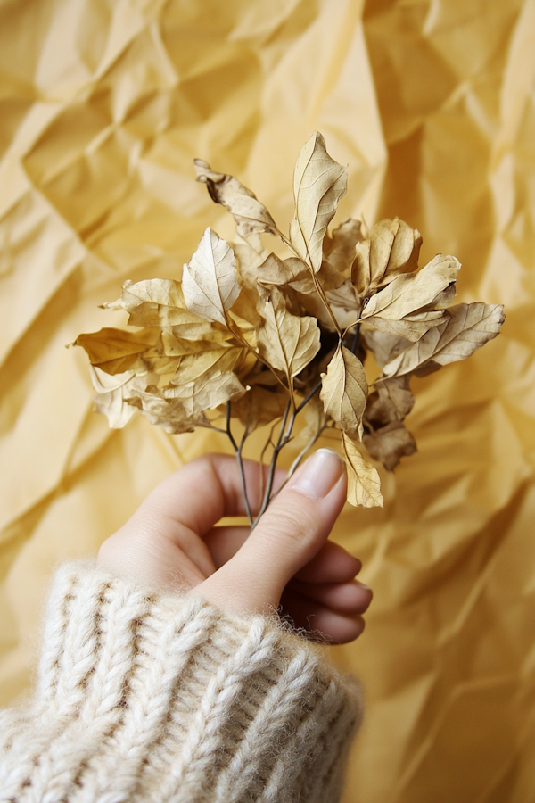 Hand Holding Dried Leaves