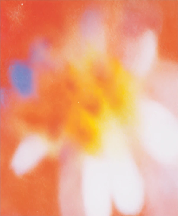 Abstract Floral Warmth