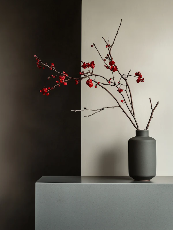 Minimalist Vase Still Life