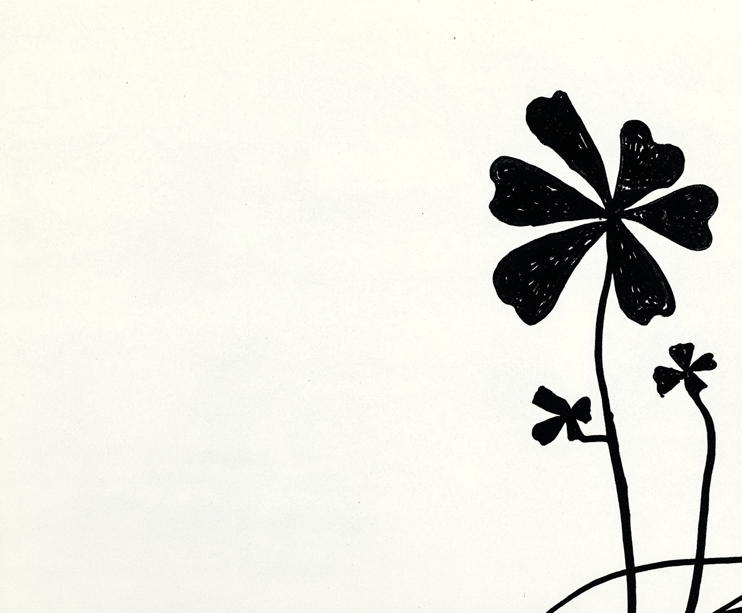 Black Ink Shamrocks Drawing