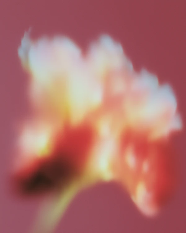 Abstract Flower Art