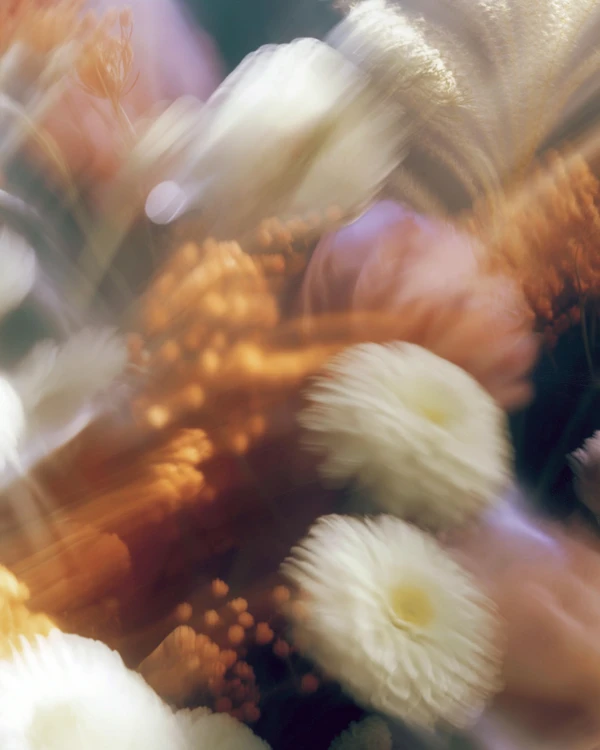 Dreamy Floral Glow