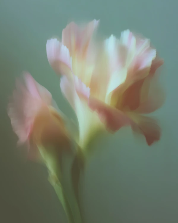 Dreamy Floral Scene