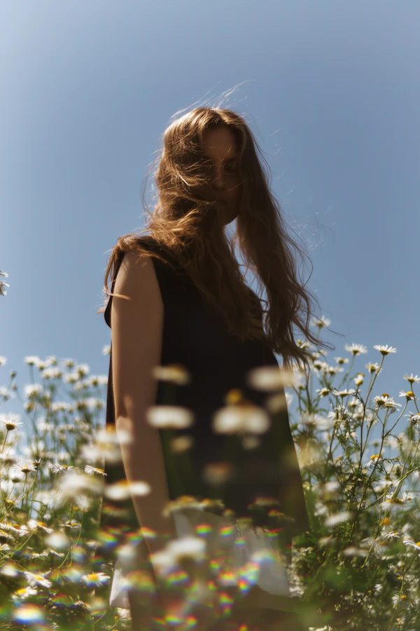 Daisy Field Serenity