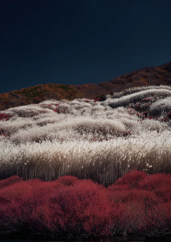 Autumn Pampas Scene
