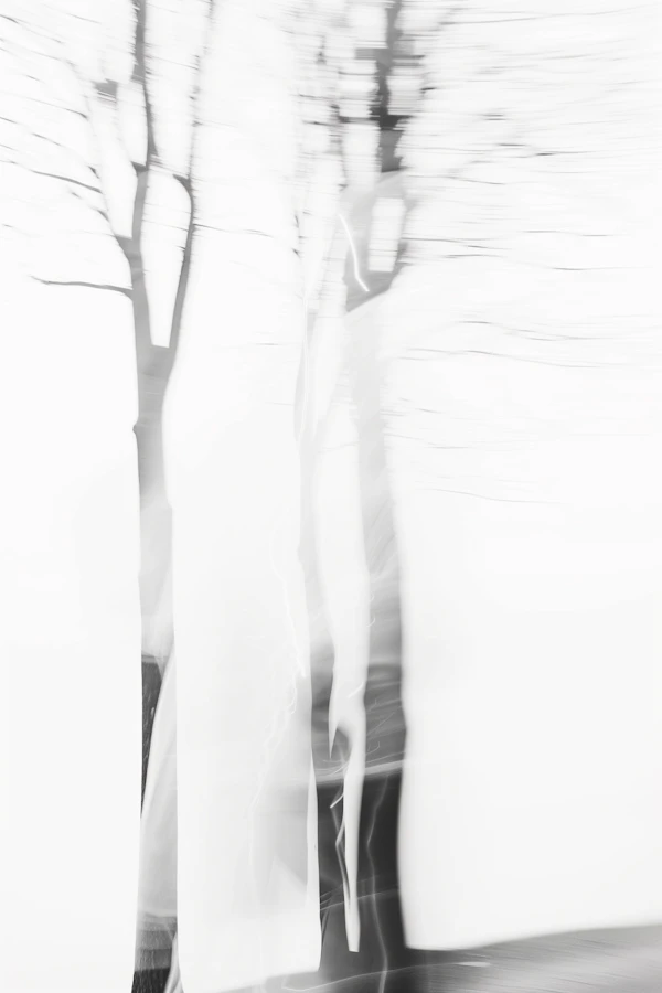 Abstract Blurred Trees