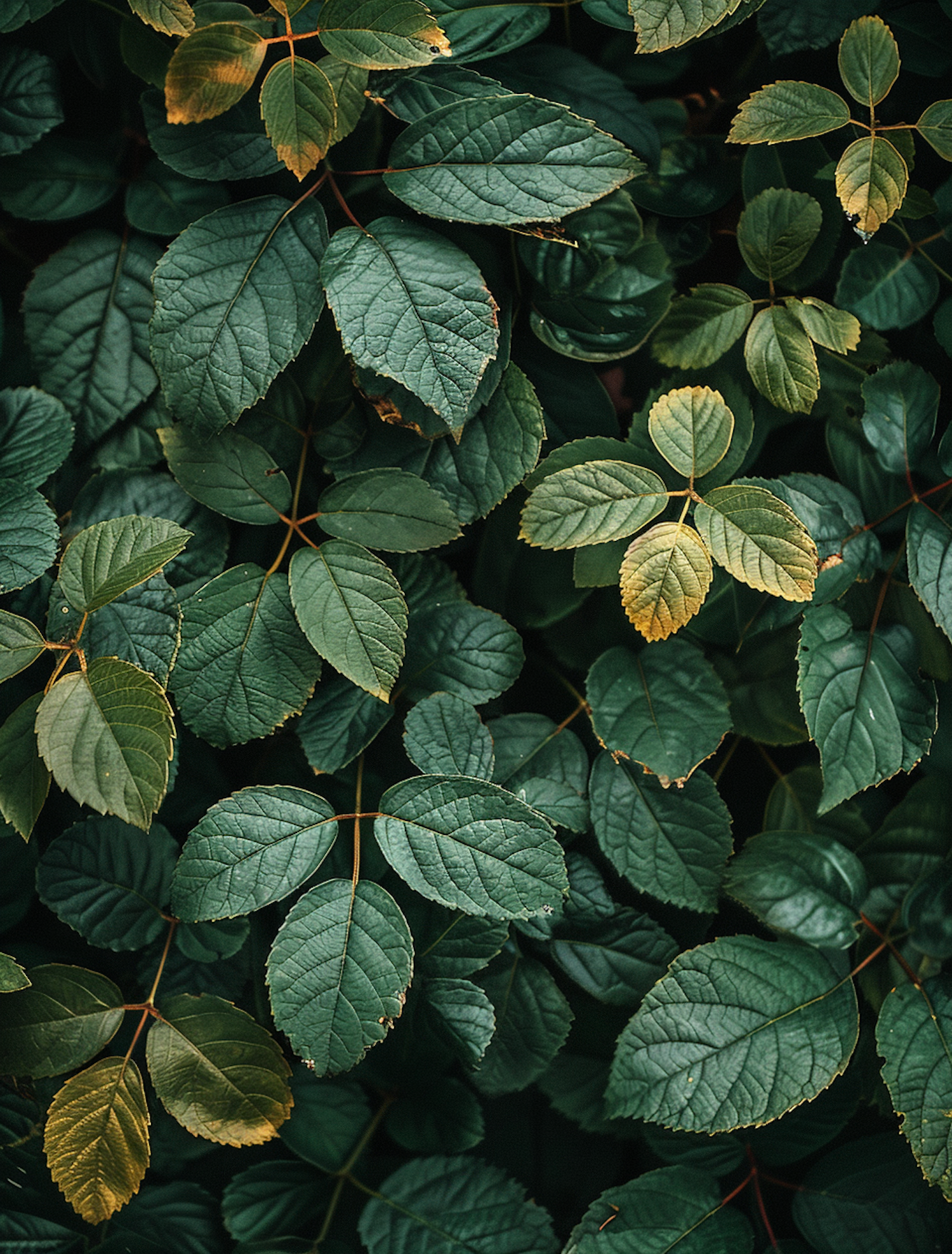 Lush Green Foliage Close-Up