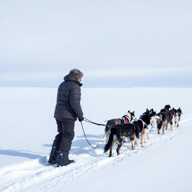 Winter Expedition with Sled Dogs