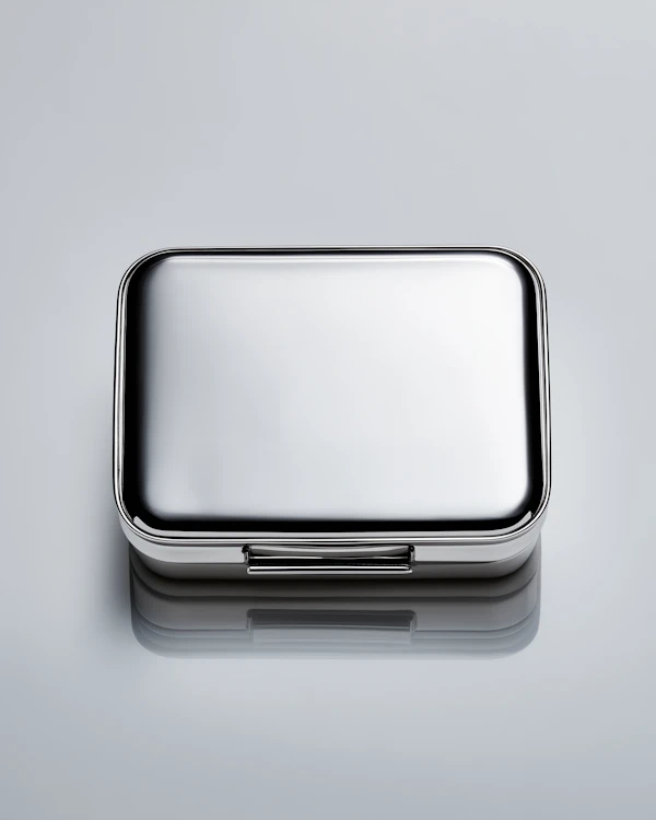 Sleek Metallic Case