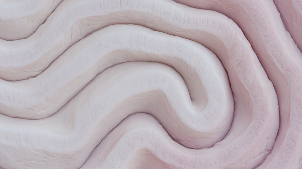 Abstract Fabric Folds
