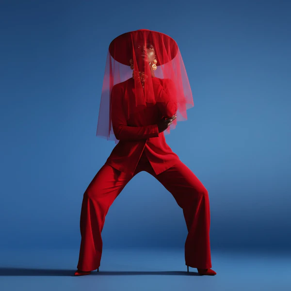 Red Elegance Portrait