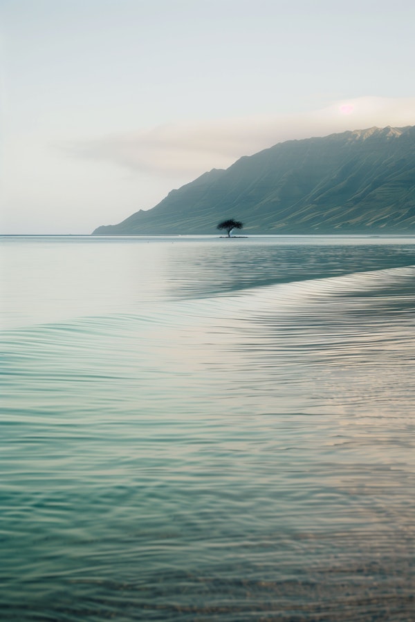 Serene Waterscape with Tree