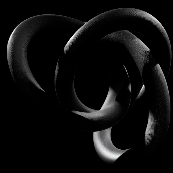 Abstract Toroidal Forms