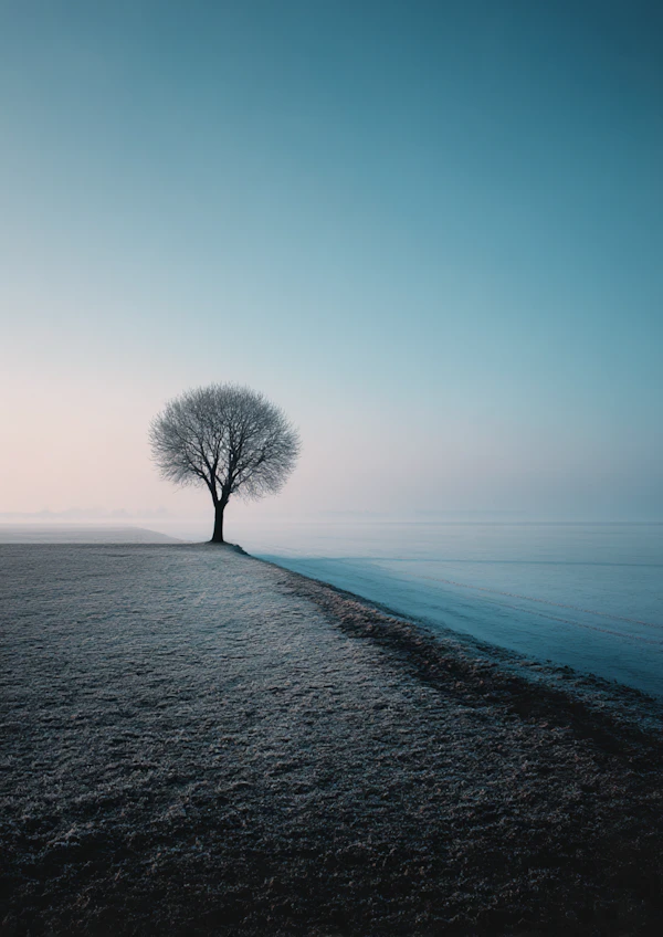 Frosty Tree Serenity