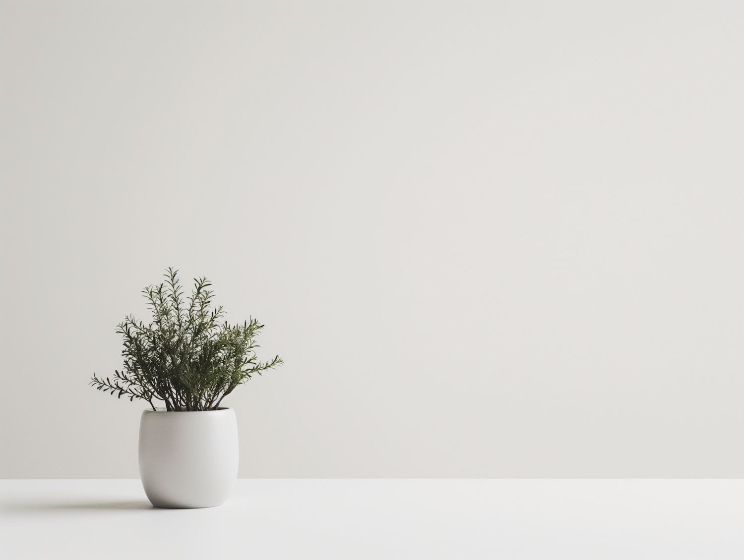 Minimalistic Potted Plant