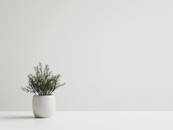 Minimalistic Potted Plant