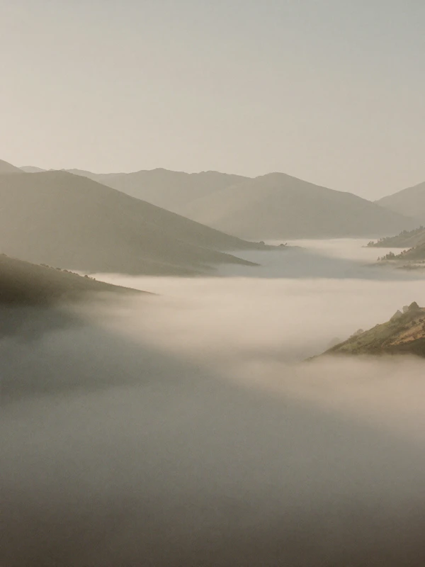 Foggy Hillside Serenity
