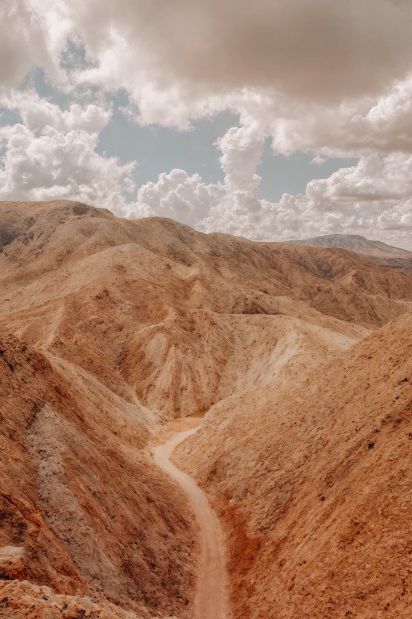 Desert Landscape View